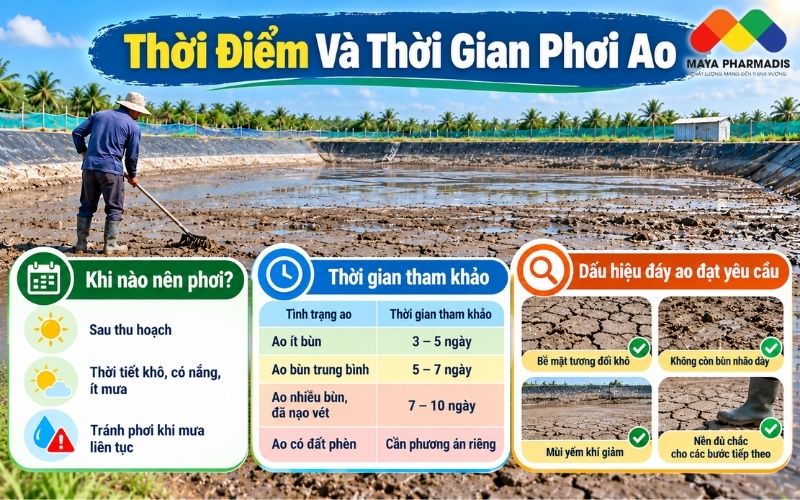 Thời Điểm Và Thời Gian Phơi Ao