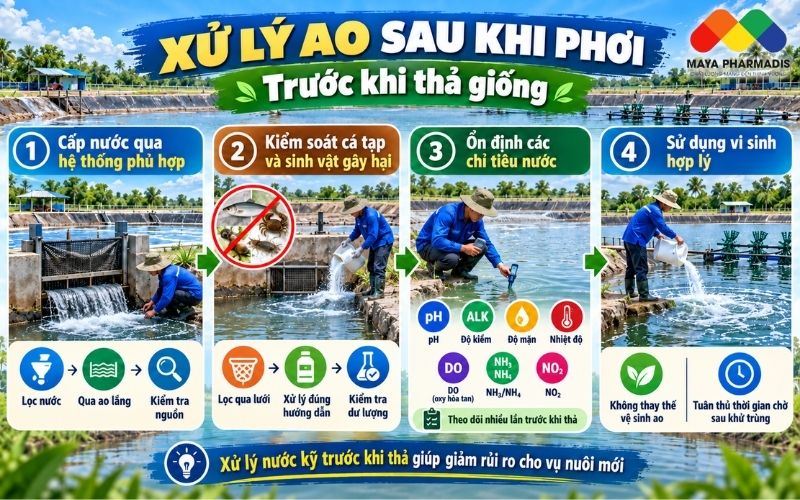 Xử Lý Ao Sau Khi Phơi Trước Khi Thả Giống